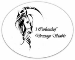 carousel image